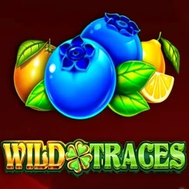 Wild Traces casino game by Amusnet Interactive – featured logo at Spinfin Casino